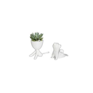 Imagem de Bob Yoga e Scott Yoga - Pet Family - Galanta, Branco