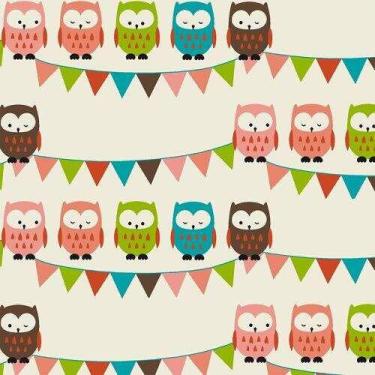 Imagem de Tecido Tricoline Coleção Corujas 0,50x1,50 mt - Fabricart Signature