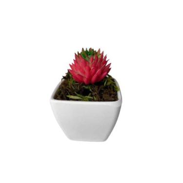 Imagem de Mini Suculenta Artificial Vaso de Plástico Branco - Multshop, Rosa