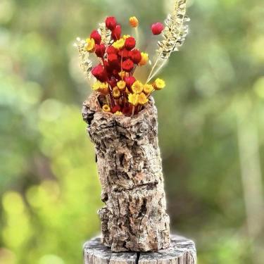 Imagem de Tronco rústico decorativo -  Sempre Vivas - Coloridas - VIVA FLOR, 03