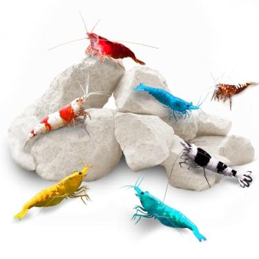 Imagem de SunGrow Pedras de camarão para lagostim, caracolis, vermelho cristal, camarões Amano e fantasma, 120 ml por pacote