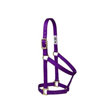 Imagem de Weaver Leather Cabresto de cavalo de nylon básico não ajustável, roxo, cavalo grande de 2,54 cm