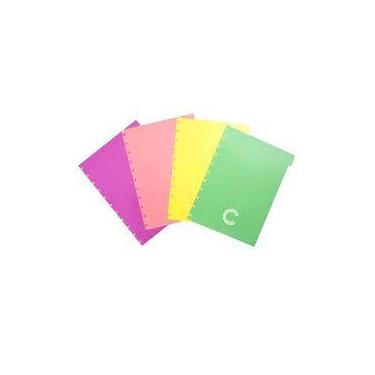 Imagem de Divisoria pastel 4unidades cid g4003 - CADERNO INTELIGENTE