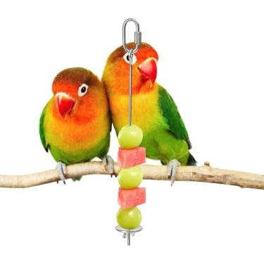 Imagem de Espeto de frutas para pássaros | Suporte de frutas em aço inoxidável, espeto de vegetais para pássaros, para gaiola, arara, periquito, calopsita, conure, pedaço, periquito, periquito, periquito