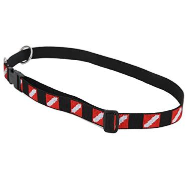 Imagem de Suporte para Equipamento de Mergulho, Suporte para Equipamento de Mergulho Leve e Resistente Material de Aço Inoxidável para Mergulho Com Snorkel