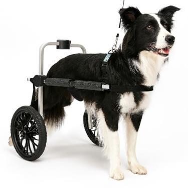 Imagem de Cadeira de 2 Rodas Para Cachorro Tam G Rodas Grandes Regulável Pata Traseira Paraplegia Reabilitação Paralisia Idoso Pet Best Soluções