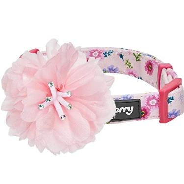 Imagem de Coleção Floral de Aroma de Mola com Estampa de Animais de Estimação da Blueberry Pet 20+ - Colarinhos, Coleiras de Arreios ou Correias para Cães, Cordões Combinando para Amantes de Animais de Estimação, Personalizados para ColeirasBlueberry Pet Regular Collar - Small TRBO1-20JN25535