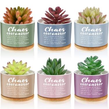 Imagem de LemonRoad 12 vasos de suculentas coordenadores mini vasos de cerâmica com bandeja de bambu presentes para professores, agradecimento, chefe, colega de trabalho, conselheiro, gerente de enfermagem