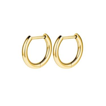 Imagem de AOEDEJ G23 Brincos de argola de titânio preto/aço cinza/dourado 18 G, pequenos brincos de argola de 8 mm/10 mm/12 mm, cartilagem para orelhas sensíveis para piercing múltiplo, cartilagem, argola