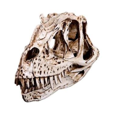 Imagem de Escultura De Crânio De Dinossauro Ceratosaurus Em Resina Para Decoraçã