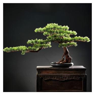 Imagem de Árvore artificial, árvore artificial, pinho acolhedor, planta artificial, bonsai, escritório, hotel, decoração, zen, casa, sala de estar, árvore falsa (A)