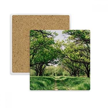 Imagem de Porta-copos quadrado paisagem natureza ciência florestal verde porta-copos caneca suporte subplaca pedra isolante