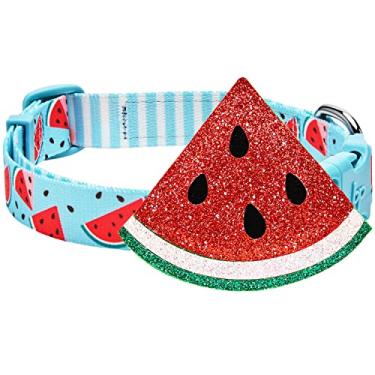 Imagem de Blueberry Pet Coleira para cachorro Summer Sparkle tamanho grande, pescoço 45,7 a 66 cm, fruta picante azul melancia, coleira para animais de estimação com acessório destacável