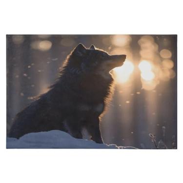 Imagem de CEBUGI Tapete de área 60 x 90 cm macio lavável tapete antiderrapante com suporte de borracha tapetes de área de lobo para sala de estar, quarto, decoração de casa