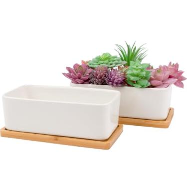 Imagem de Leismy 2 recipientes para suculentas e cactos, vasos de cerâmica branca com orifício de drenagem e bandeja removível, vasos de plantas pequenos para decoração de escritório em casa, recipiente de
