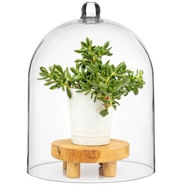 Imagem de LUMINFLY Cúpula cloche decorativa de acrílico de 25,5 x 33 cm, capa transparente e grossa com alça, proteção contra poeira para bolos, joias, velas e peças de decoração