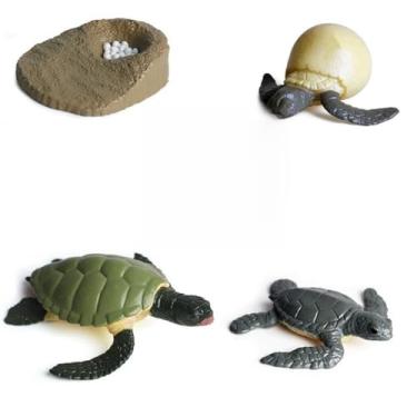 Imagem de Generic Mini Animal Galo Formiga Sapo Tartaruga Ciclo de Crescimento Figuras de Ação de PVC Brinquedo de Boneca para Crianças, Função Educacional para Explorar o Conhecimento Animal, Recomendado para Crianças Acima de 3 Anos (Verde)