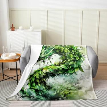 Imagem de jejeloiu Cobertor de flanela de dragão verde para bebês 76 cm x 101 cm cobertor de pelúcia infantil dragão ocidental para meninos meninas adolescentes tema fantasia folha, todas as estações para cama