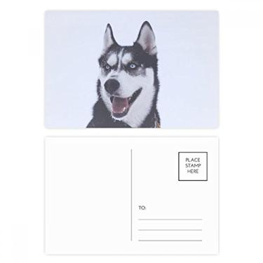 Imagem de Big Dog Snow Husky conjunto de cartões postais de aniversário para enviar cartões de agradecimento