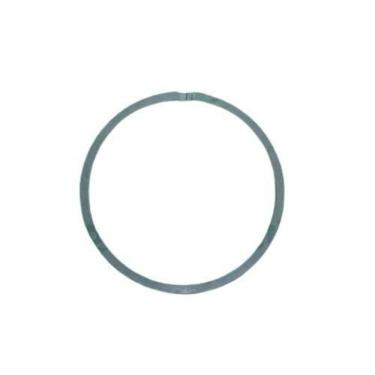 Imagem de Anel Vedador Dana Para Pá Carregadeira Michigan 55C 45C 125C