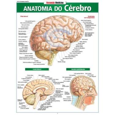 Imagem de Anatomia do cérebro