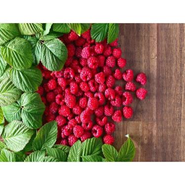 Imagem de Papel De Parede Frutas Framboesas Vermelhas 3D Al91