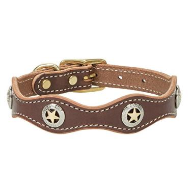 Imagem de Weaver Pet Lone Star Legend Collar Sunset, 3/4 x 48 cm