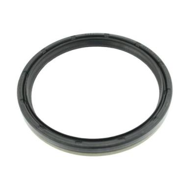 Imagem de Retentor do Virabrequim Traseiro Omega 02900BRAGF - SABÓ