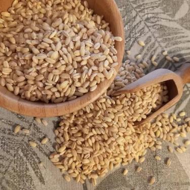 Imagem de Cevada Perolizada (cevadinha) 1kg - Mania de Castanha