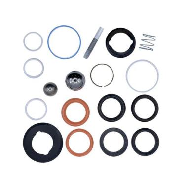 Imagem de Kit Reparo da Bomba Xtreme 290cc 25D238 Original Graco