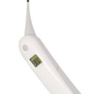 Imagem de Termometro digital retal veterinario - BRASMED, BRANCO