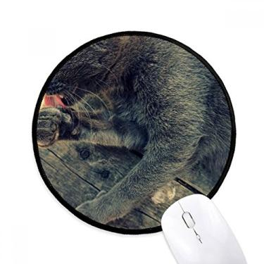 Imagem de Tapete de rato com estampa de animal cinza para fotografia de gato tapete redondo para computador