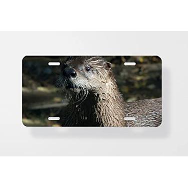 Imagem de Northern River Otter Lontra Canadensis 2 capa para placa de carro - capa para placa de carro - capa para moldura de placa de carro 15 x 30 cm