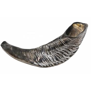 Imagem de Shofar Chifre De Carneiro De Tocar - 25 A 29 Cm - De Israel