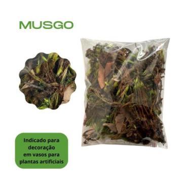 Imagem de Mini Suculenta Artificial Vaso de Plástico Branco - Multshop, Verde 04