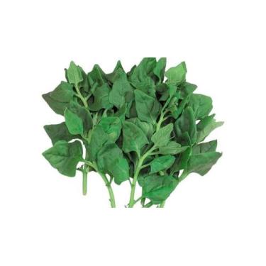 Imagem de Semente Hortaliça/Verdura/Especiaria monte seu kit personalizado - Alp