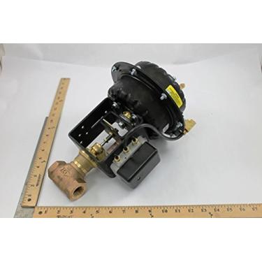 Imagem de Série VG7000 Modelo VG7243LT Válvula globo de acabamento de aço inoxidável com atuador elétrico de retorno de mola modelo VA-4233-BGA-2, sem interruptor auxiliar