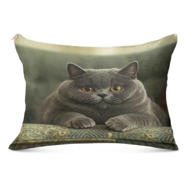 Imagem de Fat British Shorthair Fronha decorativa com zíper padrão Queen King Body Size Travesseiros Básicos, tamanho padrão, 51 cm x 66 cm