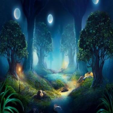 Imagem de Quadro Decorativo Floresta com Lua Estampa de Natureza para Parede Sala Quarto Escritório 50x50cm