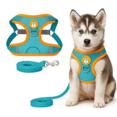 Imagem de Peitoral Refletivo para Cachorros e Gatos com Guia Ideal para Passeios Noturnos (AZUL, G)