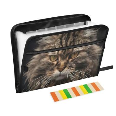 Imagem de CEBUGI Pasta expansível com 13 bolsos, organizador de arquivos sanfonado à prova d'água com etiquetas tamanho A4, organizador de documentos de papel para escola, material de escritório, gato