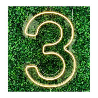 Imagem de Painel Led Neon Número Luminoso 0 ao 9 Decoração Festa 60cm - letreiro