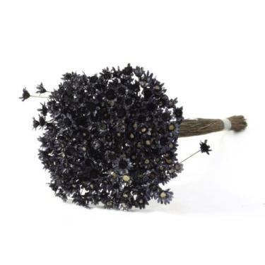 Imagem de 600 Sempre Vivas Cores Selecionadas - Pense Flores, Preto