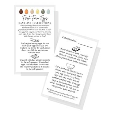 Imagem de Instruções de manuseio de ovos Fresh Farm | Pacote com 50 | Cartão de visita de 5 x 9 cm | Instruções de manuseio de ovos para ovos frescos na fazenda | Cartão branco com design de ovo colorido