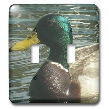 Imagem de 3dRose LLC lsp_22251_2 Mallard Duck Glistening, interruptor duplo
