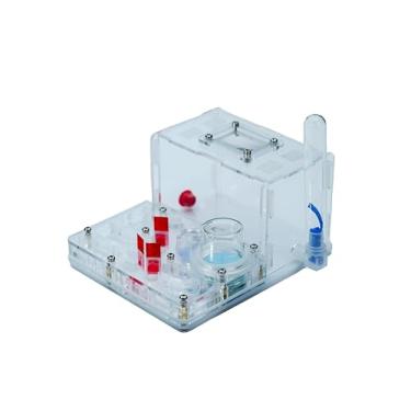 Imagem de Rimsunta Fazenda de formigas para formigas vivas - para pequenos clones de formigas - Brinquedo de aprendizagem natural - Ótimo presente