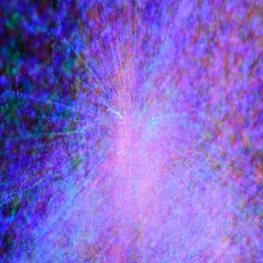 Imagem de Quadro Decorativo Flores Roxas em Árvore - Arte para Parede Moderna e Elegante 50x50cm