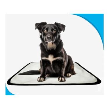 Imagem de Tapete para pets lavável em oferta 3 un P 50x60cm