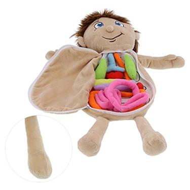 Imagem de Brinquedo educativo para órgãos do corpo, brinquedos para órgãos do corpo, confortáveis ​​e resistentes, para auxiliar de ensino para uso geral para crianças para uso(Menino órgão humano)