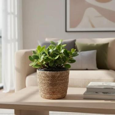 Imagem de Cesto Cachepot Decorativo Redondo Em Fibra Natural Forro Plástico Mult